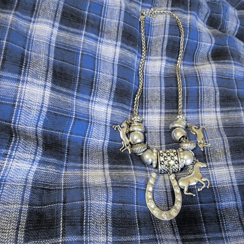 Cowgirl chunky silver necklace